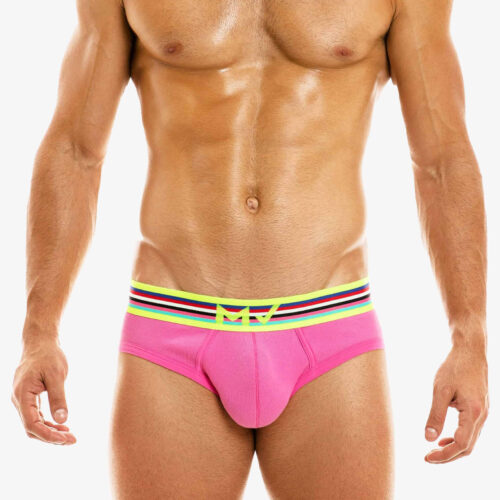 Modus Vivendi Fuchsia Peace Brief