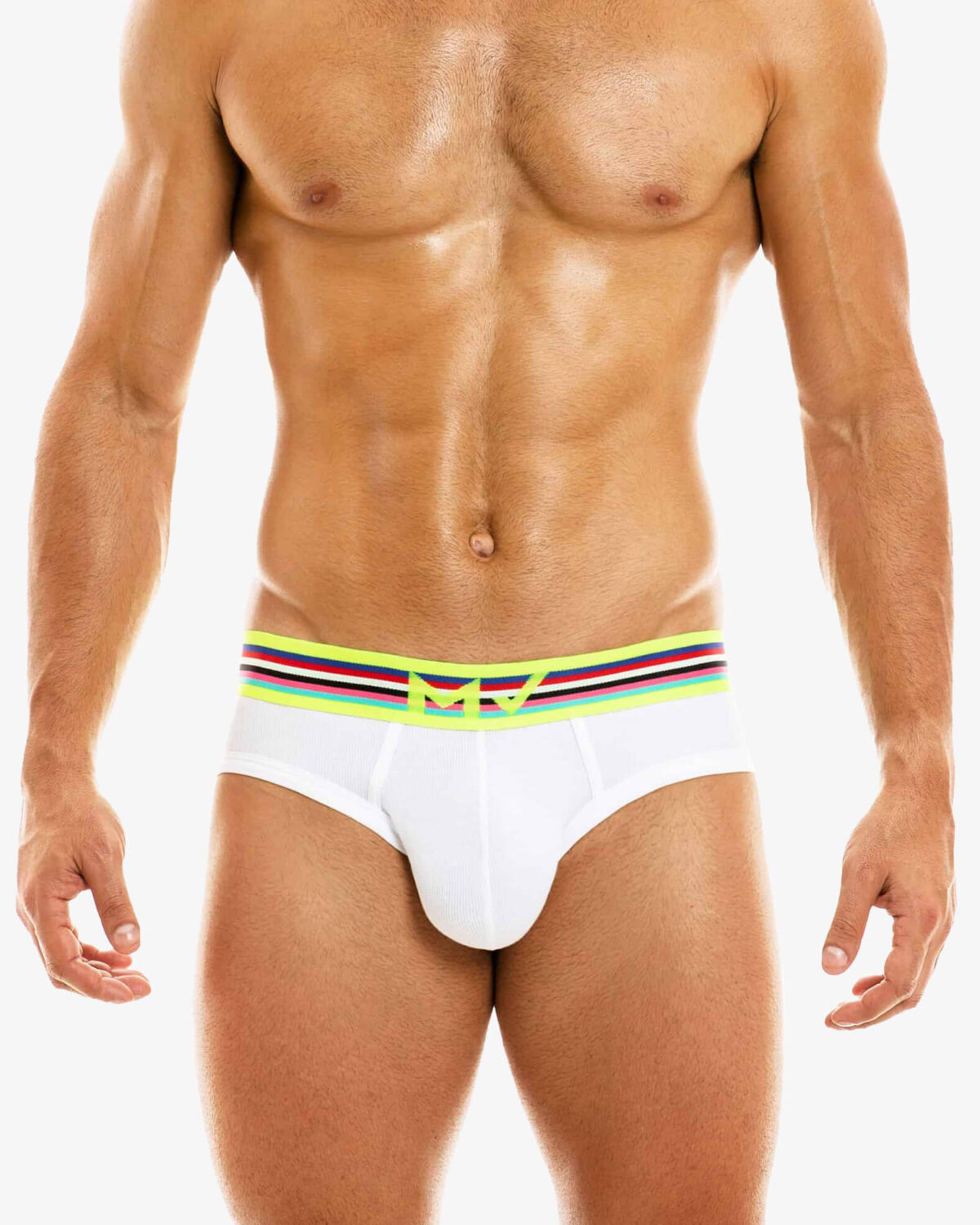 Modus Vivendi White Peace Brief