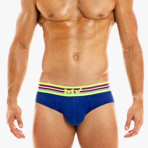 Modus Vivendi Blue Peace Brief