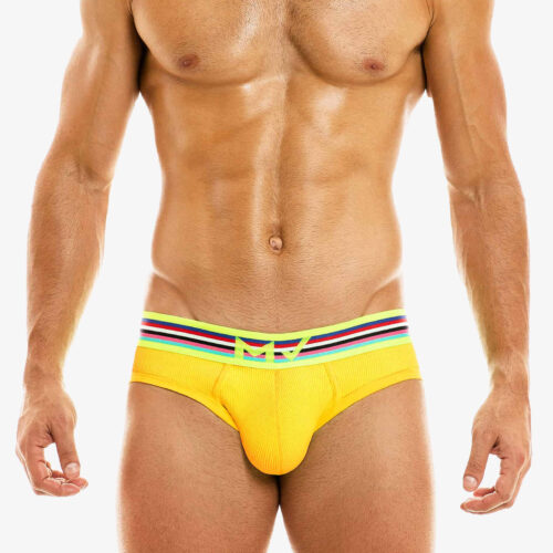Modus Vivendi Yellow Peace Brief