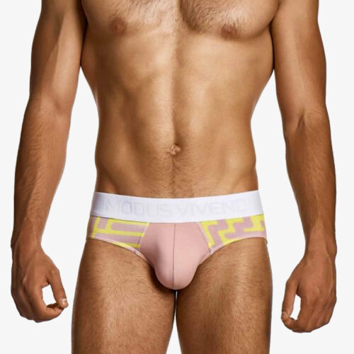 Modus Vivendi Briefs Dusty Pink