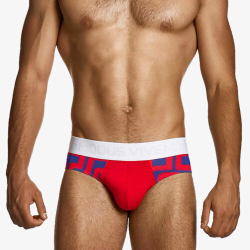 Modus Vivendi Briefs Red Blue