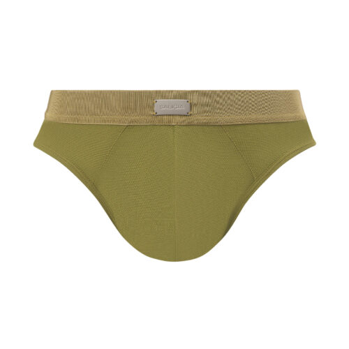 SALIGIA 2026 Briefs Green