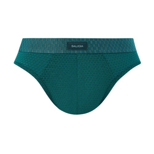 SALIGIA 2026 Brief Green
