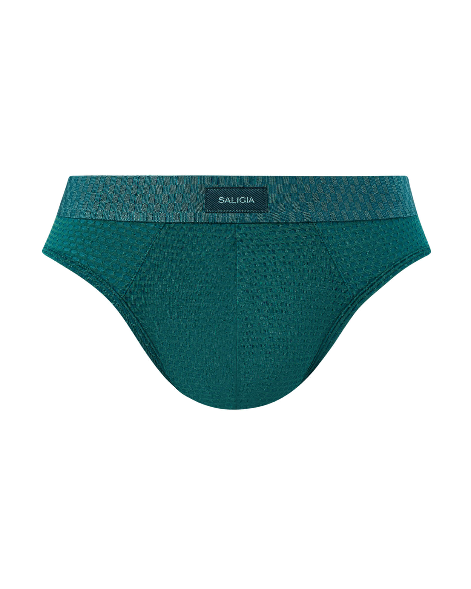 SALIGIA 2026 Brief Green